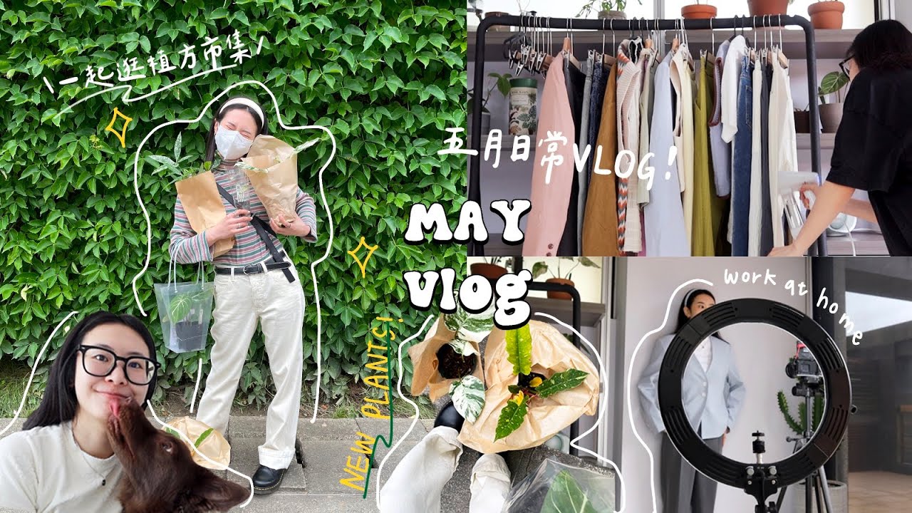 一週VLOG🍎 旅遊前的工作日常! 逛植方市集/療癒換盆時光/青光眼回診&近況更新/快篩/最愛小火鍋