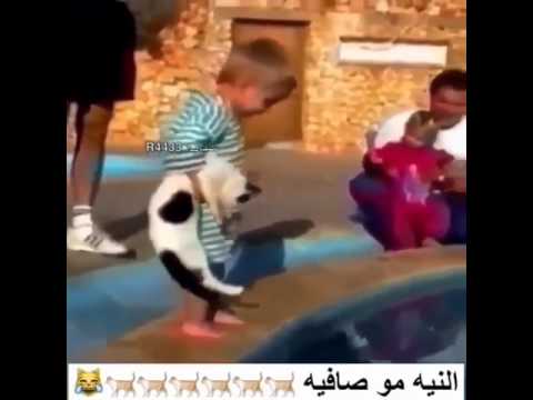 النية مو صافية