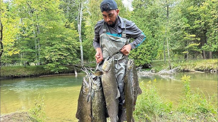 Latest Fishing and Cooking Video, River Fishing