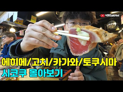 에히메, 고치, 카가와, 토쿠시마 l 시코쿠 여행 몰아보기