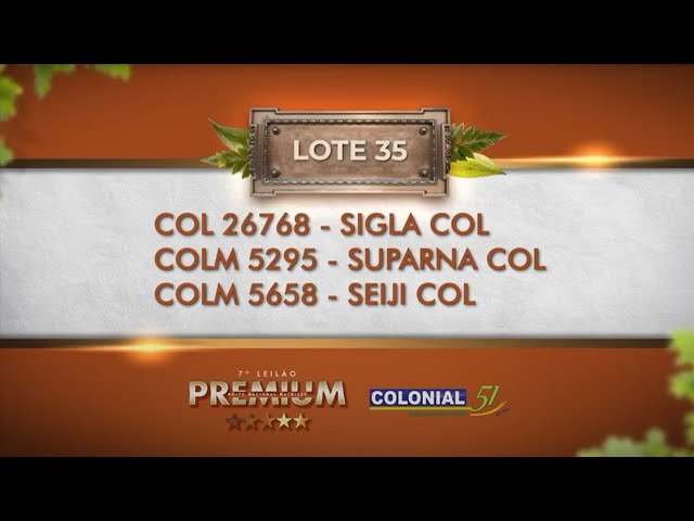 LOTE 35   COL 26768, COLM 5295, 5658