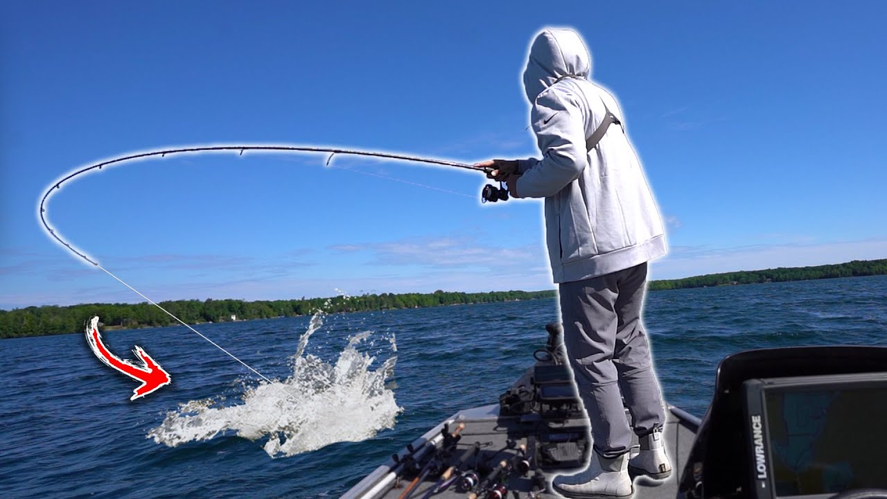 Fishing for GIANT Late Summer Bass! (NEW PB)