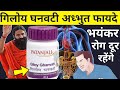 पतंजलि गिलोय घनवटी (Patanjali Giloy Ghan Vati) के अद्भुत फायदे जानकर पैरों तले जमीन खिसक जायेगी