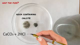 Famous The acid test Profile