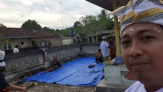 arye lanang dauh