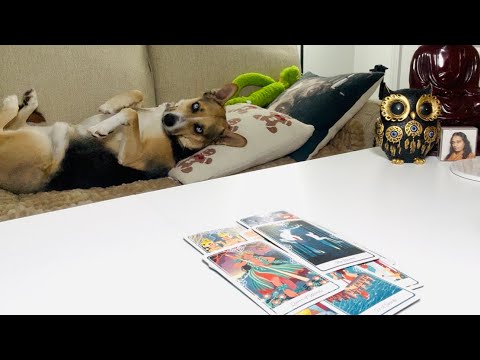 A Personal Message For You This Situation Is About To Turn Around