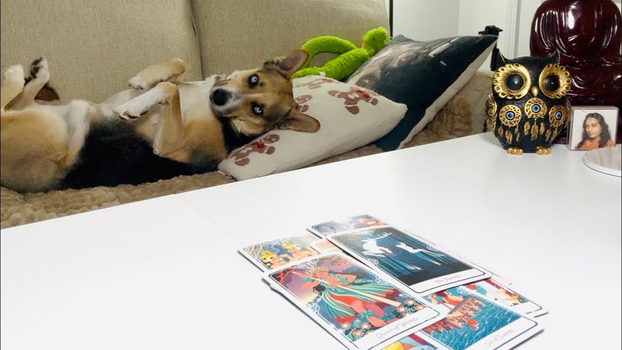 Личное сообщение для вас: ситуация скоро изменится.