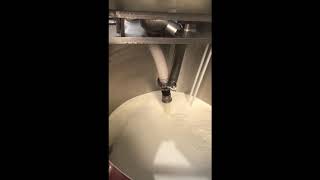 HTST Pasteurizer for Cheesemaking - Sanchelima International