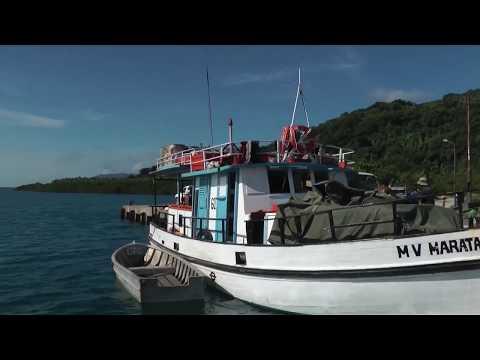 Video: Sérologické Opatrenia Na Hodnotenie účinnosti Programu Kontroly Malárie Na Ostrove Ambae, Vanuatu