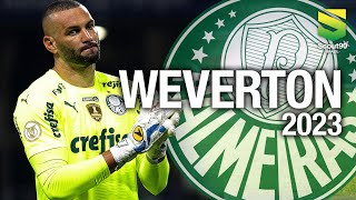 Weverton 2023 - Defesas & Reflexos Absurdos - Palmeiras | HD