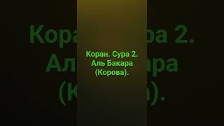 Коран. сура 2. аль Бакара (корова).