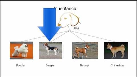 Intro CS: Understanding Inheritance in Java