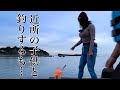 【釣り】近所の子供と釣りしたり、素手で蟹を捕まえ夜釣りをしたり…
