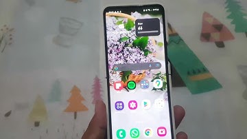 Samsung Galaxy Z Flip 5: How to Enable or Disable Google Assistant