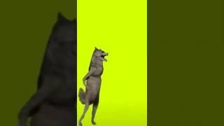 Dans Eden Kurt Sjsjsjsjjs