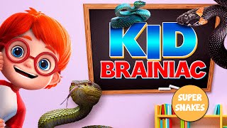 Kid Brainiac: Super Snakes Trailer