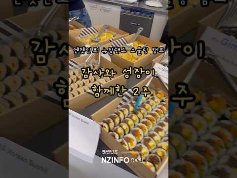 뉴질랜드 스쿨링 캠프|감사와 성장이 함께한 2주 차 이야기 #엔젯인포 #뉴질랜드스쿨링캠프 #뉴질랜드캠프 #영어캠프 #뉴질랜드조기유학 #알바니주니어하이스쿨 #뉴질랜드유학
