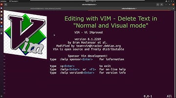 Editing with VIM - Delete Text in "Normal and Visual mode"