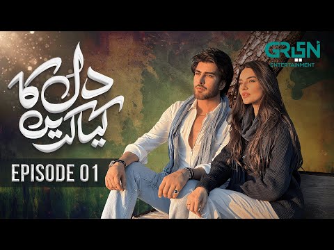 Dil Ka Kya Karein Episode 01 Imran Abbas Sadia Khan Mirza Zain Baig Green TV Dramas 