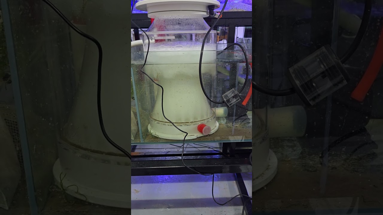 Bubble King supermarin 250 + ATI Powercone 250is 3 (testing and calibrating)