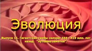 Гигантские грибы силура. 444 - 419 млн. лет назад. Эволюция, выпуск 11 Гигантские грибы силура. 444 - 419 млн. лет назад. Эволюция, выпуск 11