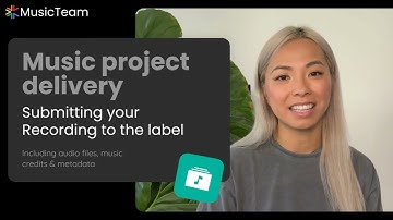 Submitting your Recording to the label | Music project delivery by MusicTeam®