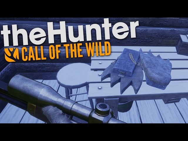 洋楽 Hunter Not the Hunted 洋楽 Hunter Not the Hunted Amazon.co.jp: Hunter Not the