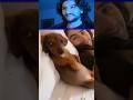 #funny #trending #fypシ #shorts #viral