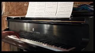 Eternal Sonata: Pyroxene/Leap the Precipice/Your Truth/Scrap and Build/Kyoutenka | Solo Piano
