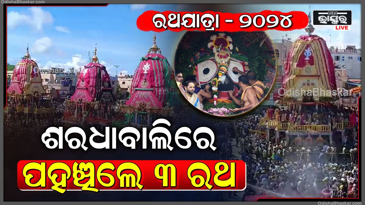 ୨ ଦିନର ଯାତ୍ରା ପରେ ଜନ ସମୁଦ୍ର ମଧ୍ୟ ଦେଇ ଶରଧାବାଲିରେ ପହଞ୍ଚିଲେ ୩ ରଥ I 3 Chariots Reached Gundicha Temple