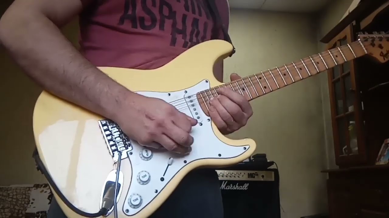 la leyenda del hada y el mago ( solo original)