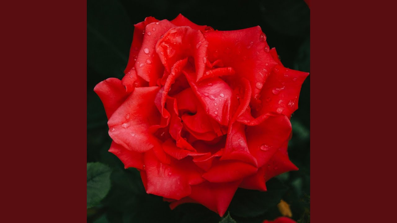 Dream of the First Snowfall