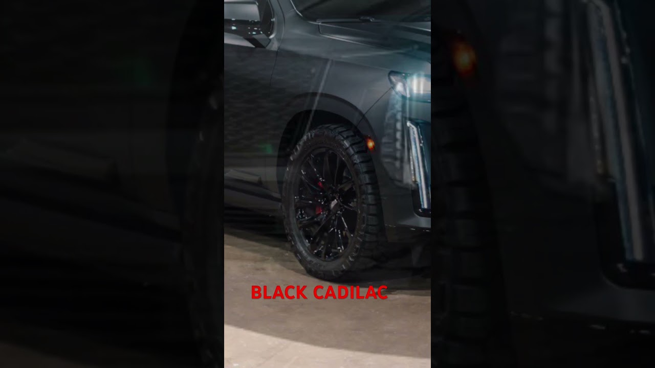 Wardrobe & Wheels New Song 🎵 Part 1👍🔥  