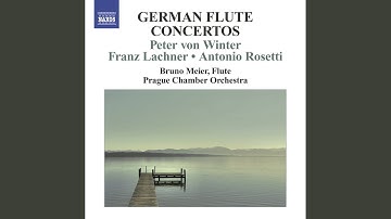 Flute Concerto No. 2 in D Minor: I. Allegro