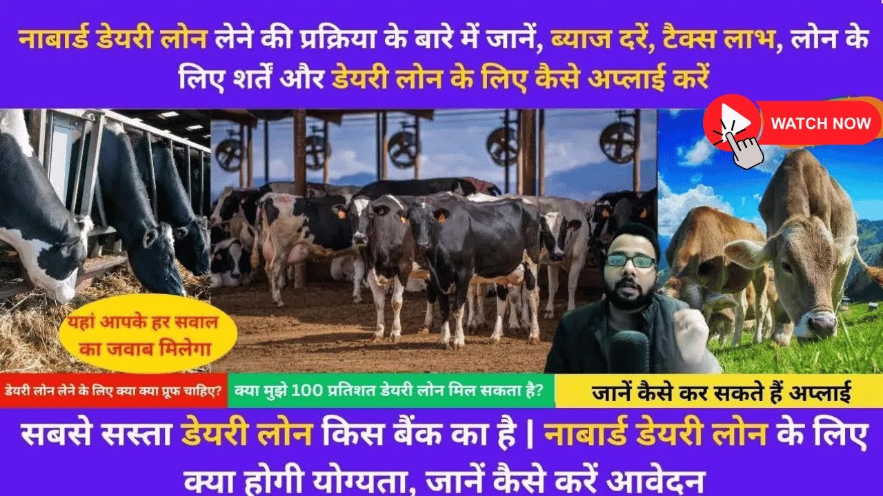 nabard dairy loan scheme 2024 Dairy farm loan kaise le डेयरी फार्म