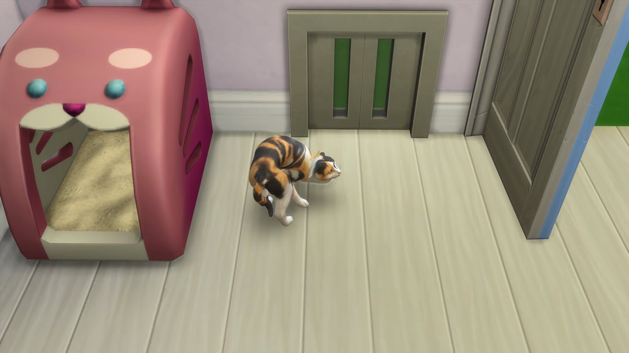 Sims 4: Crazy cat lady part 2 - YouTube