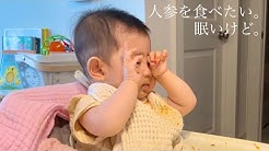 Baby Sophie Youtube