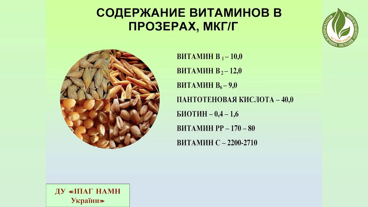 Какие вещества содержатся в пшенице. Пророщенная пшеница витамины. Витамины в зерне. Витамины в зерне пшеницы. Витамины в пророщенной пшенице.