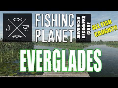 The Complete Fishing Planet Beginners Guide - Episode 7 - The Everglades