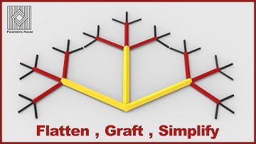 Flatten - Graft - Simplify - Grasshopper Tutorial