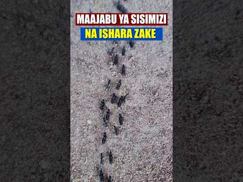 FAHAMU MAAJABU 5 YA SISIMIZI NA ISHARA ZAKE 