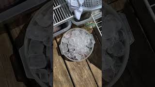 Quick upcycled ice dye over a gray base! #tiedye #icedye #upcycledart