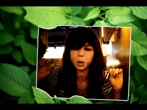 我家有個河東獅.avi