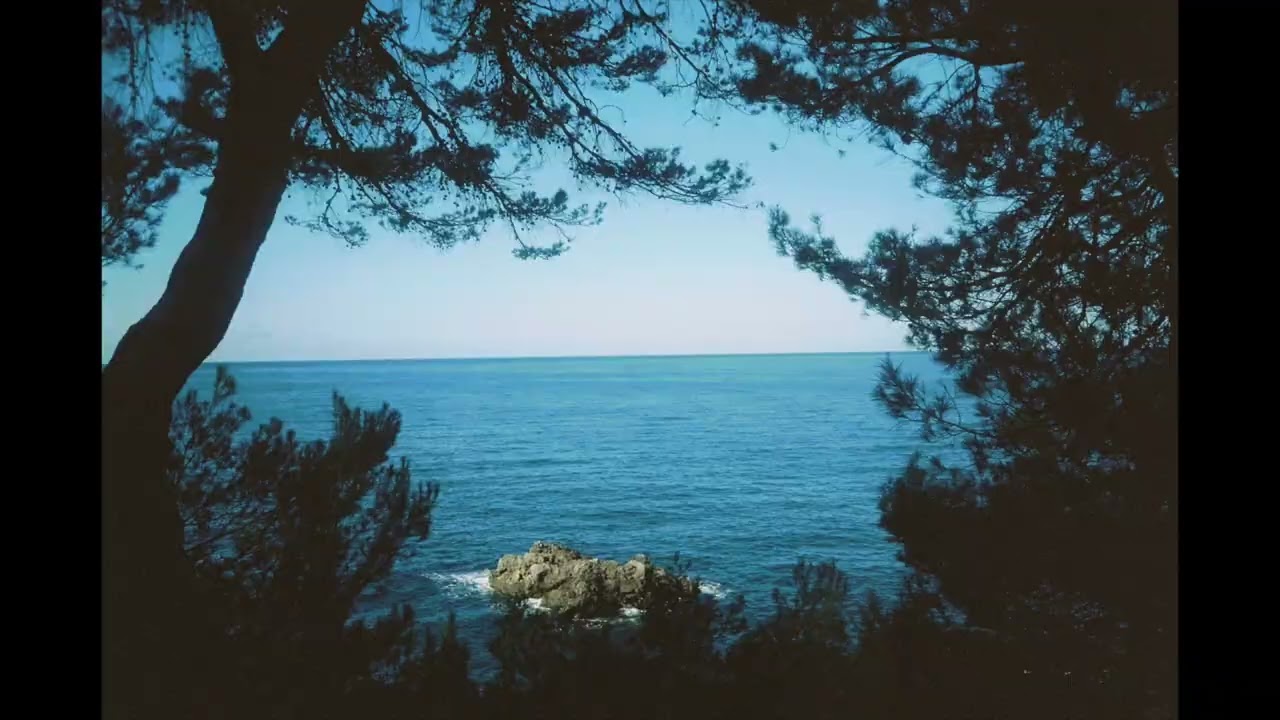 Fionn Regan - JUNE SONG (Official Video)