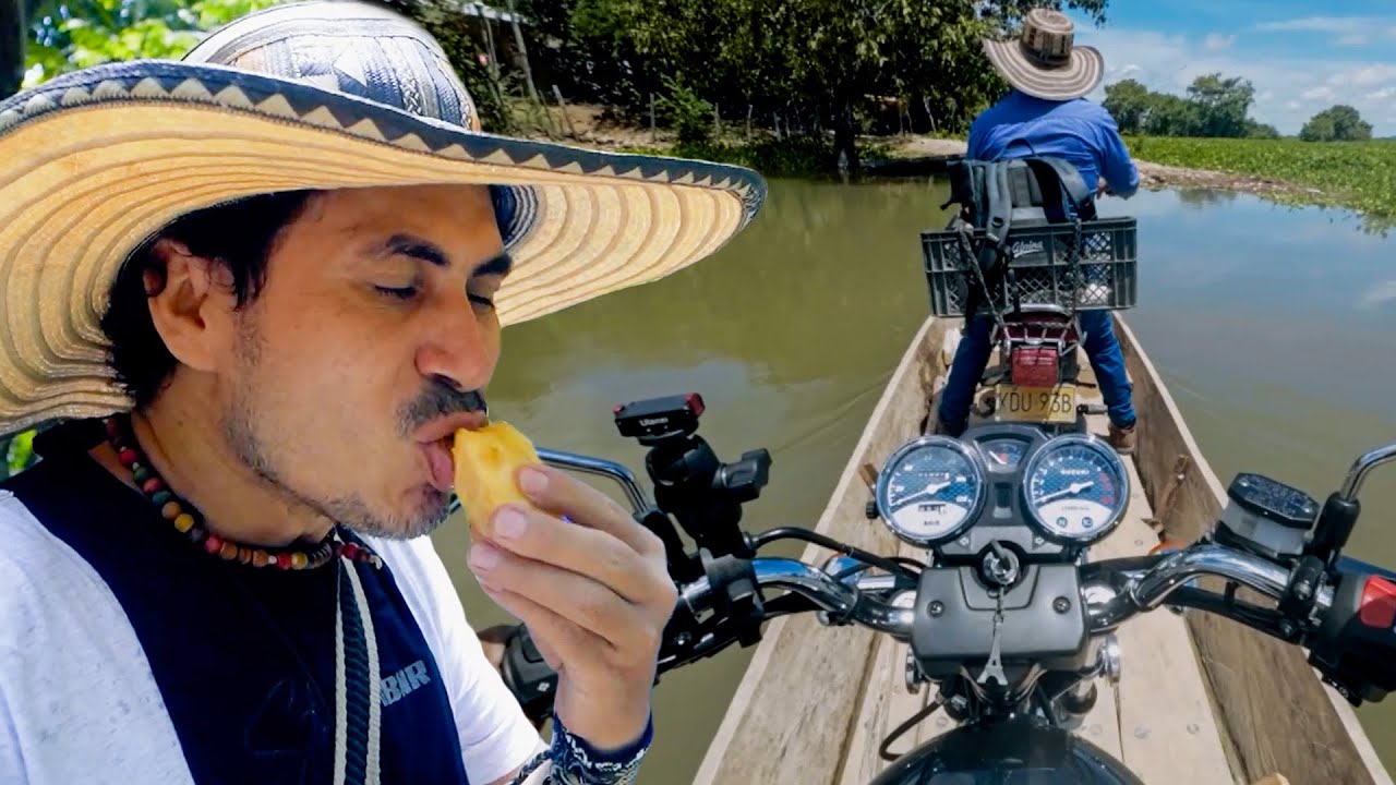 Atravesé un Rio con la Pollina para Probar las Mejores Piñas en Castañal Bolívar.