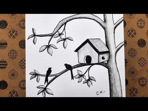 Video: Plywood kuş yuvası: fikirler, çizim, adım adım talimatlar