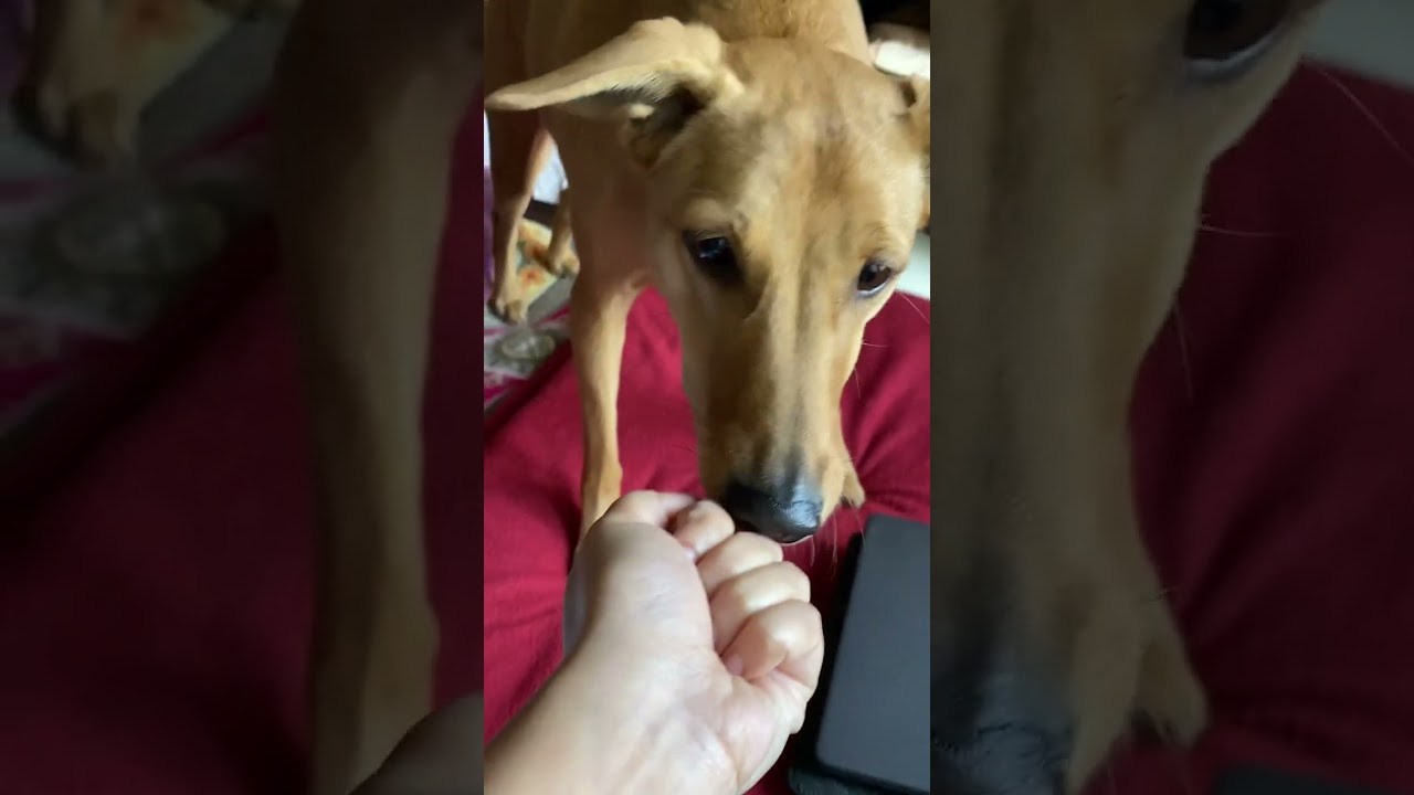 Oh Emmi you’re so fine⭐️ 