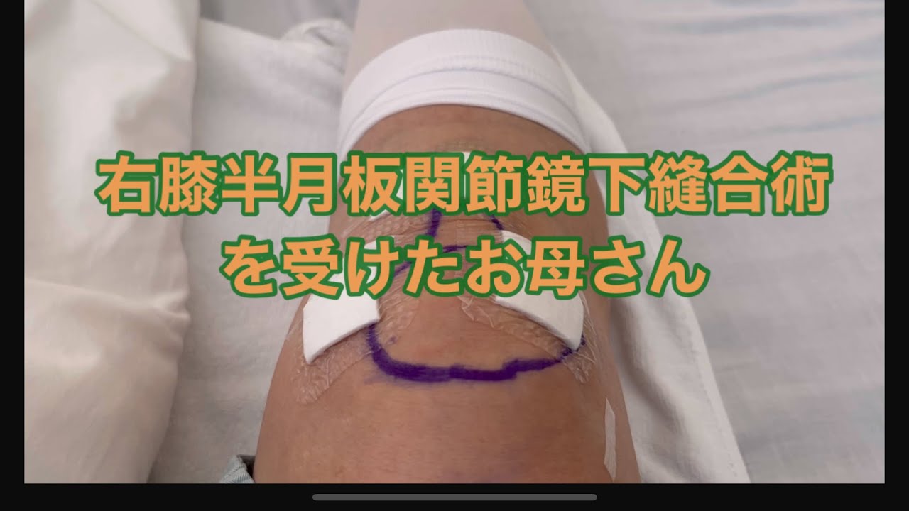 プリンとその家族　健康だけが取り柄だったお母さんが入院した〜