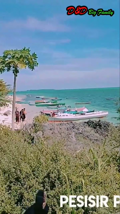 Pulau Motaha Tempat Wisata di Bombana, Sulawesi Tenggara #shorts #bombana #tempatwisata