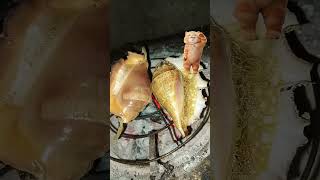 Grilling the spider shells while the cat is dancing #seafood #grilling #dish #seacreatures